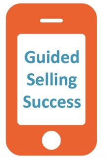 Guided Selling Success.jpg